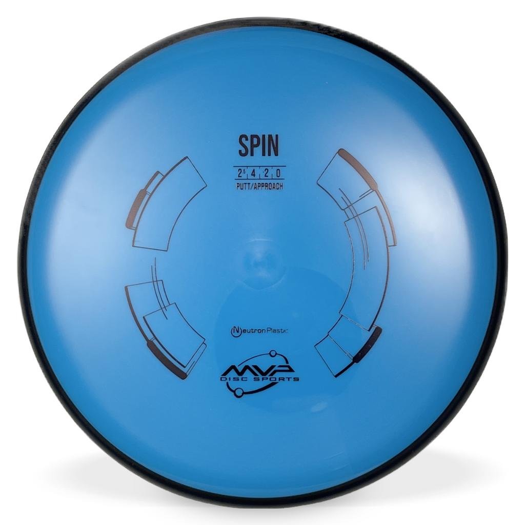 Neutron Spin