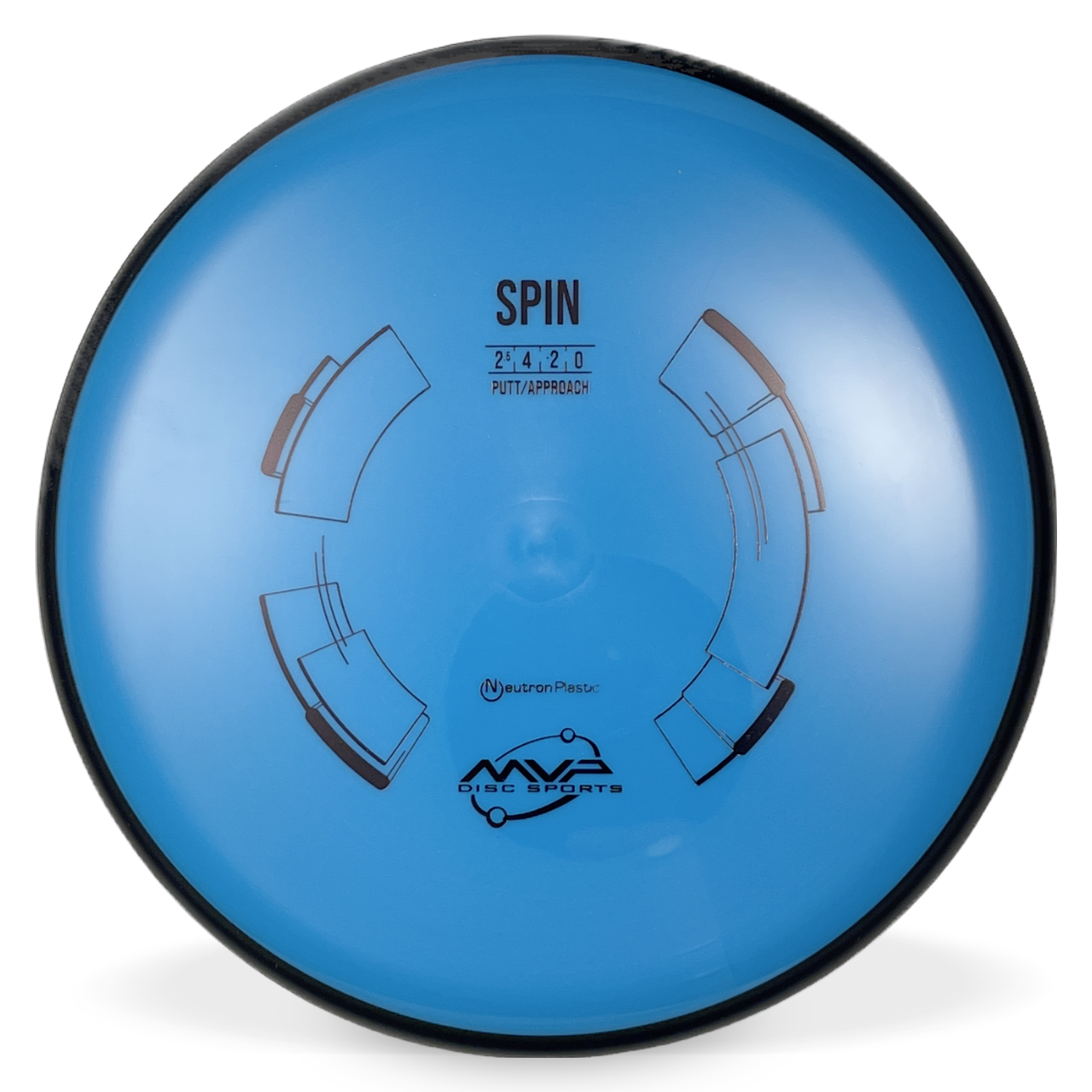 Neutron Spin