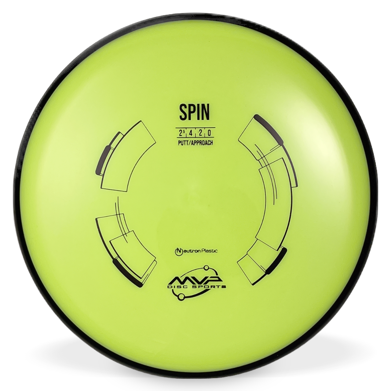 Neutron Spin