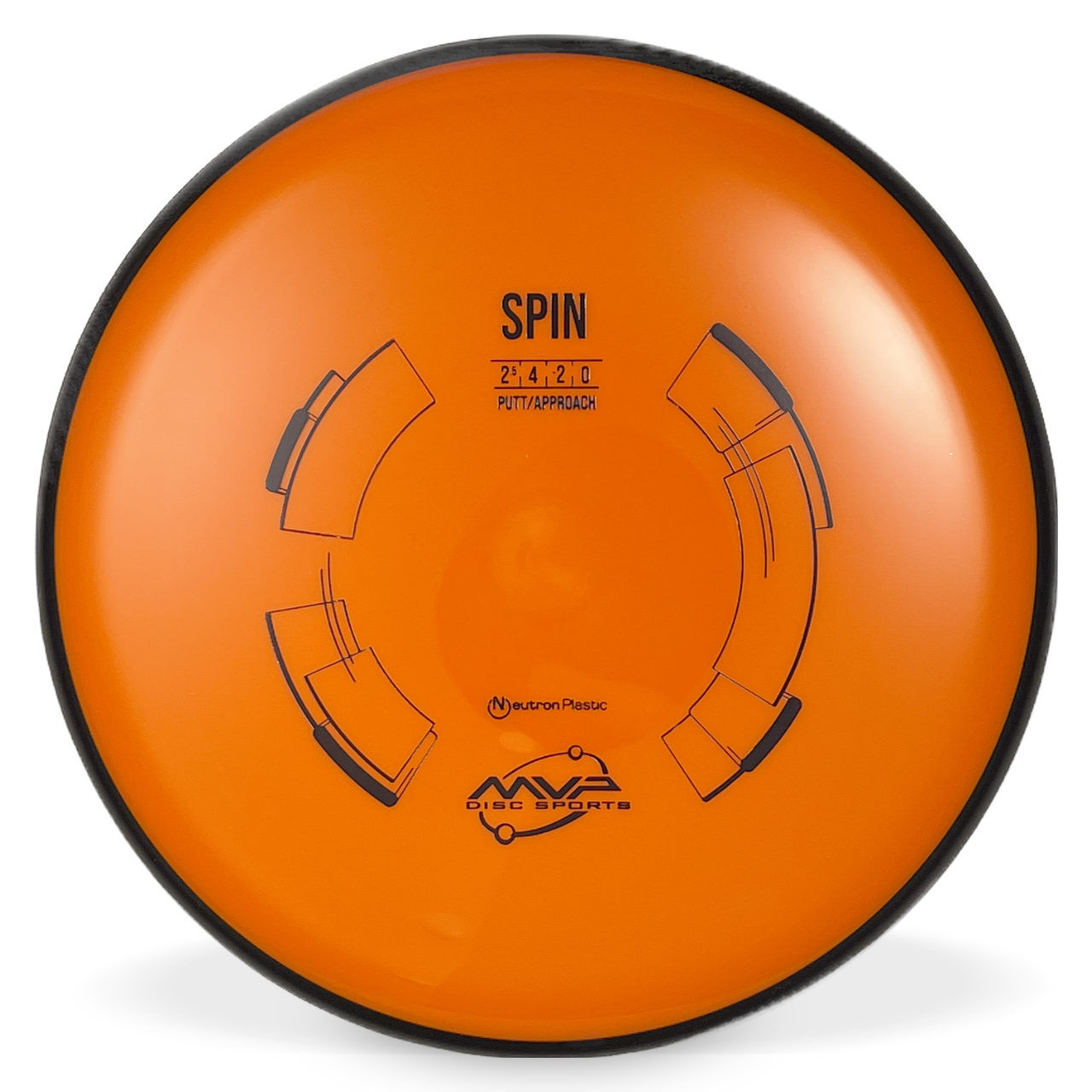 Neutron Spin