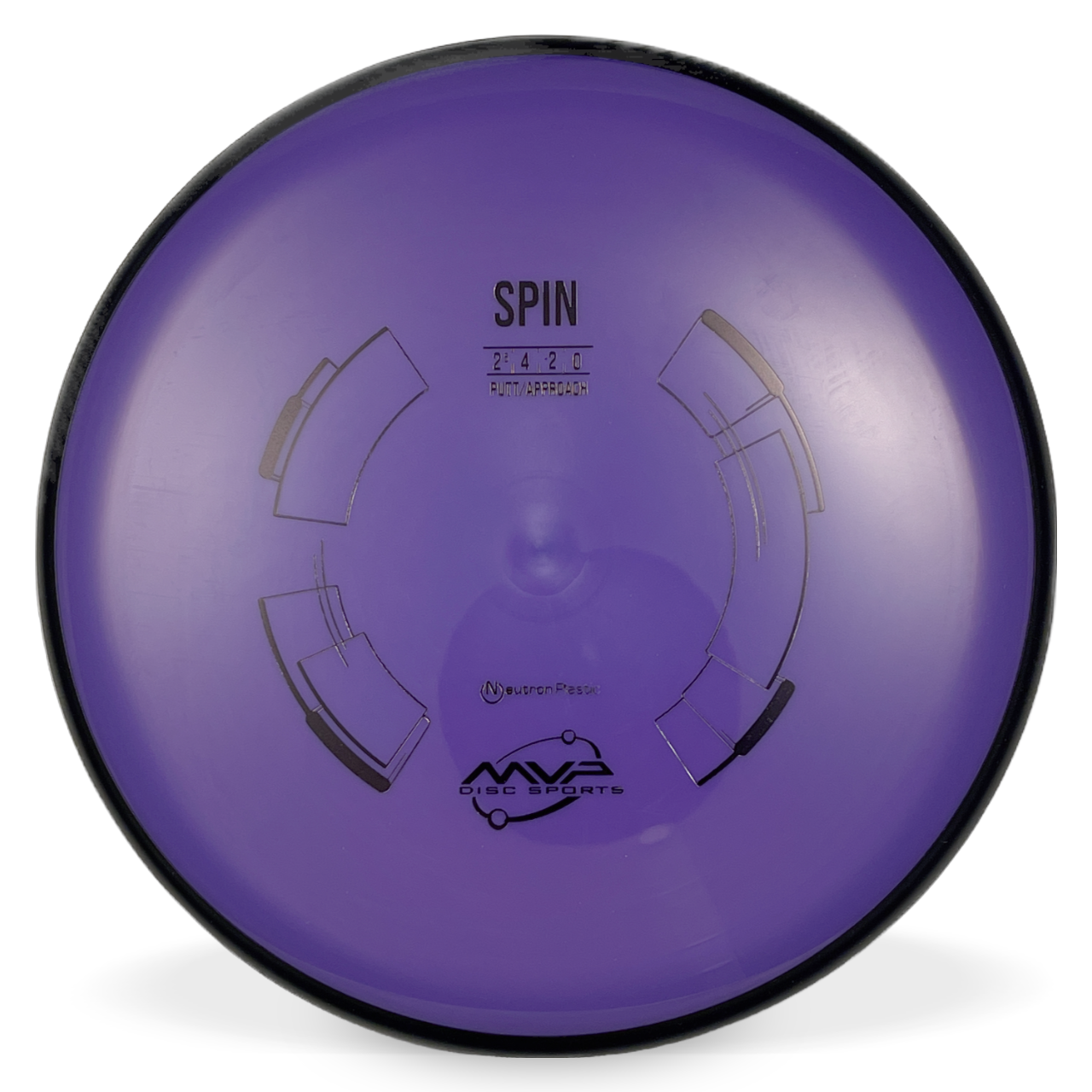 Neutron Spin