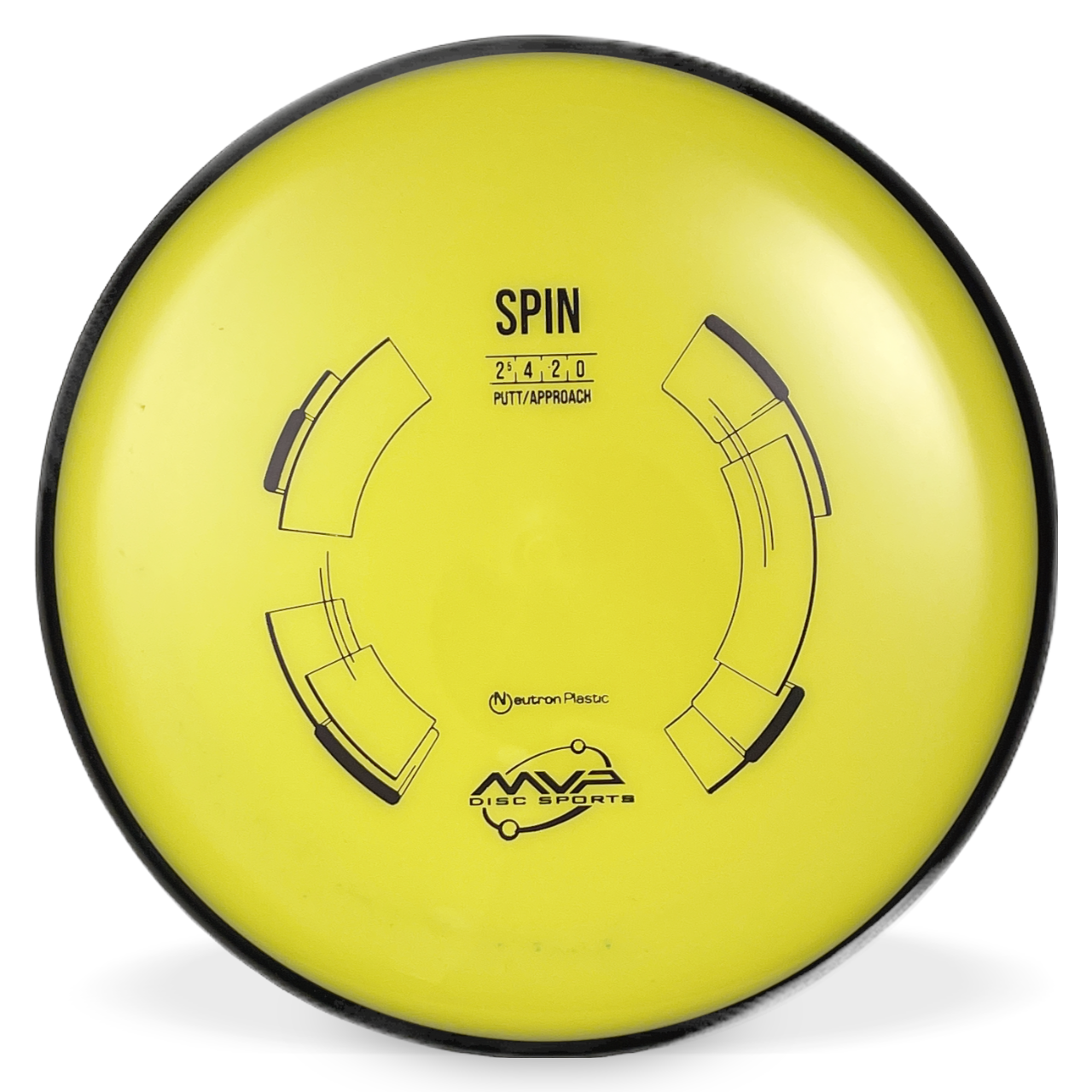 Neutron Spin