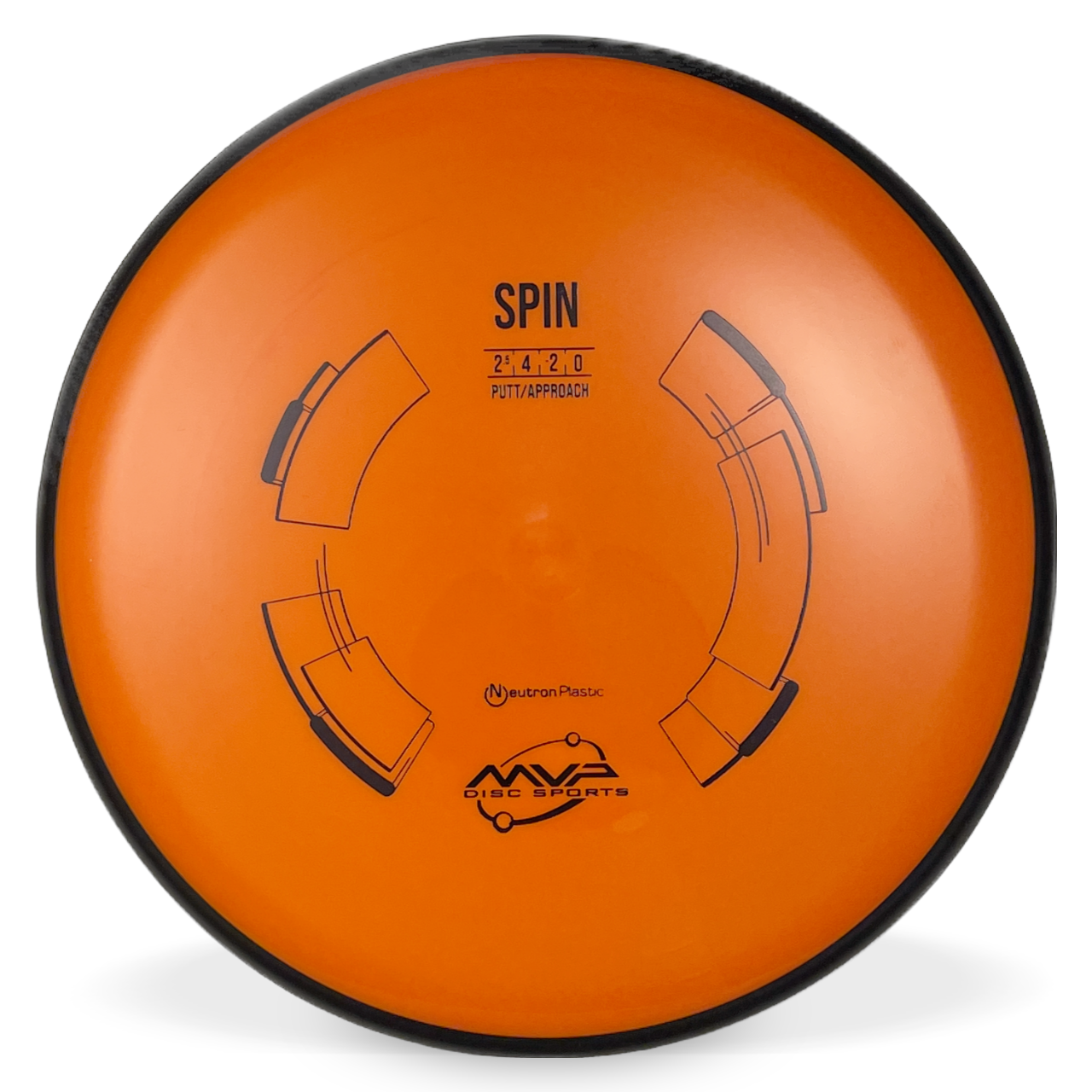 Neutron Spin