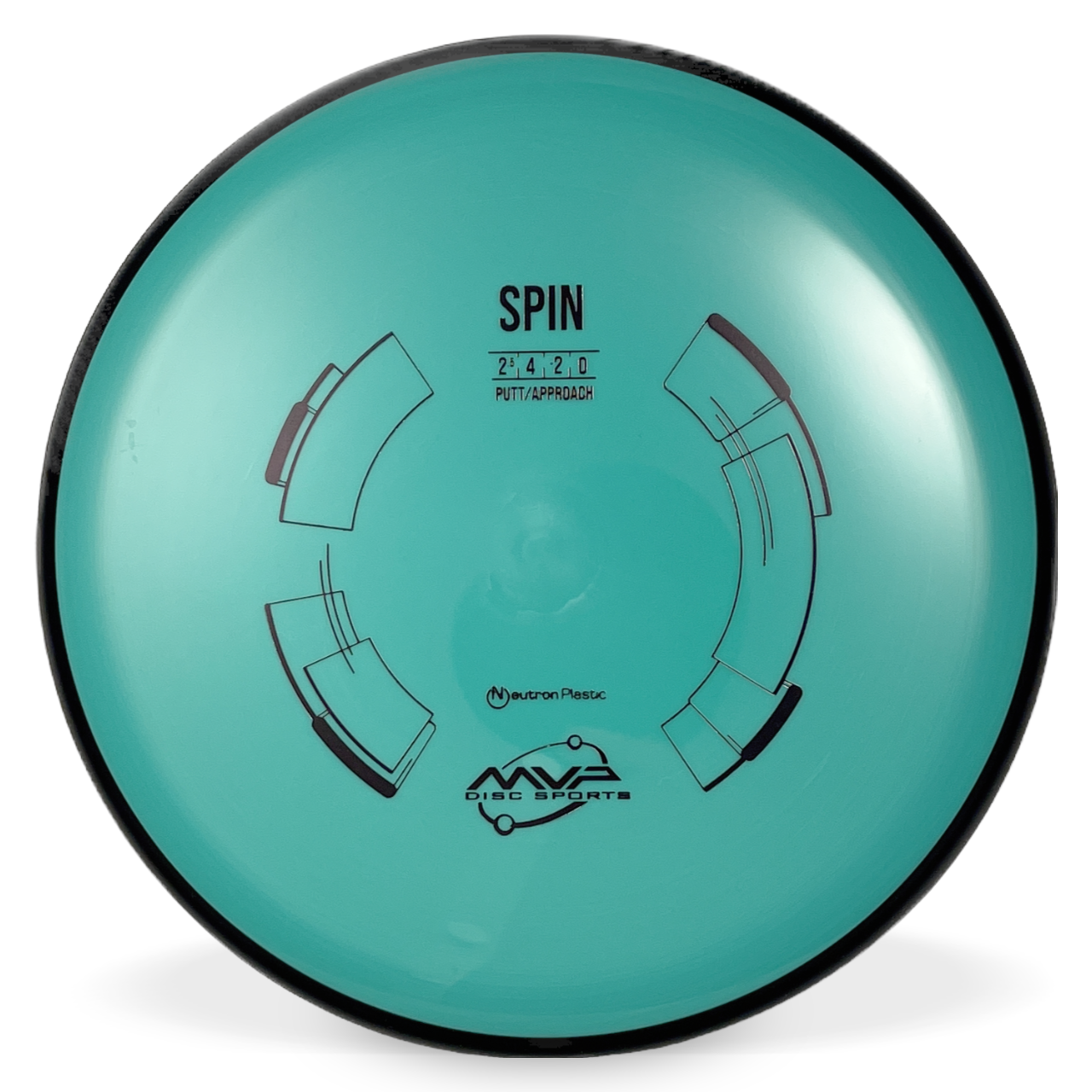 Neutron Spin