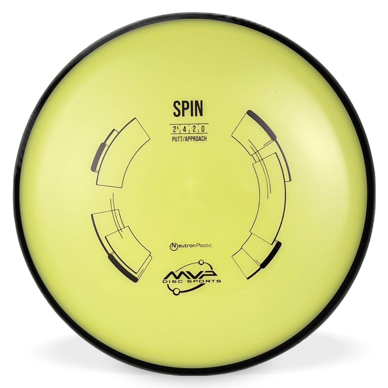 Neutron Spin