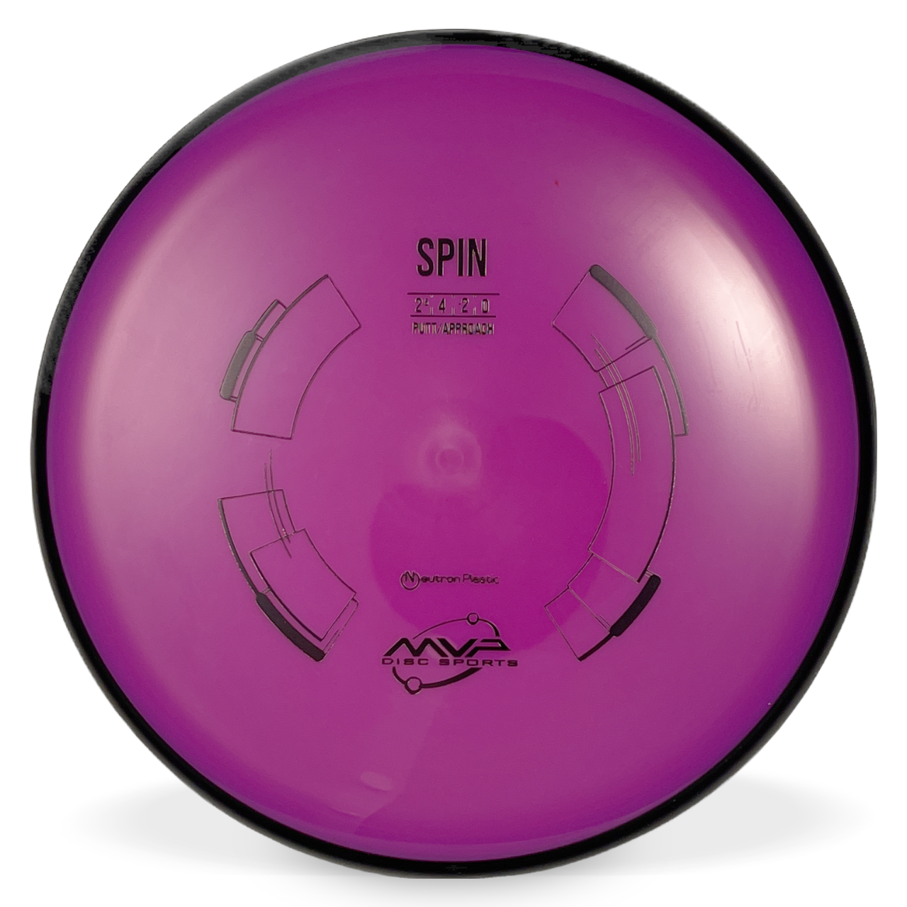 Neutron Spin
