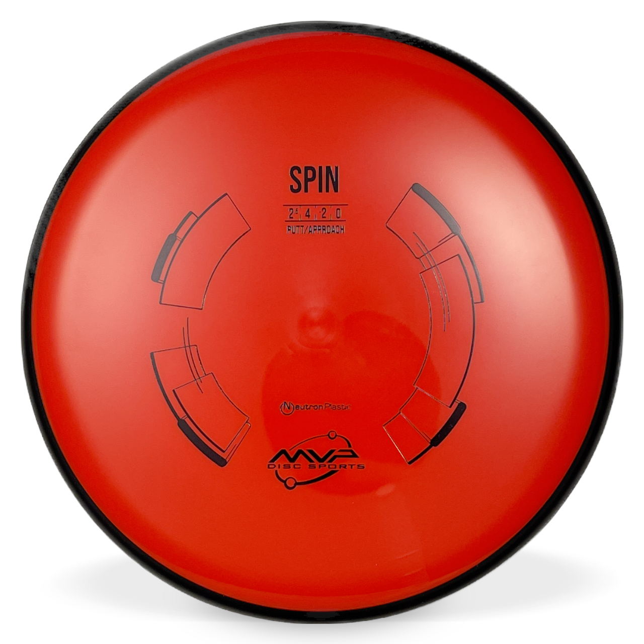 Neutron Spin