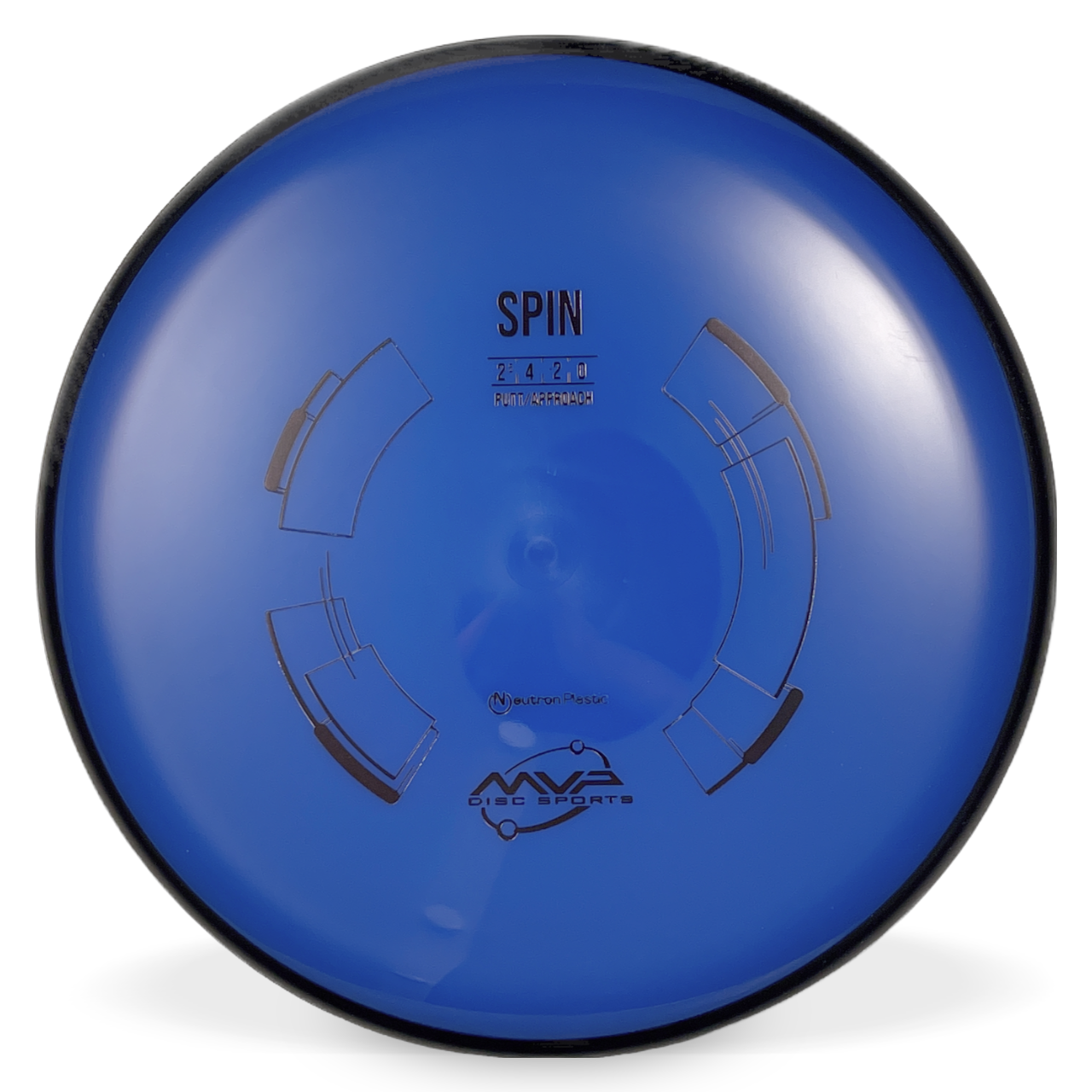 Neutron Spin