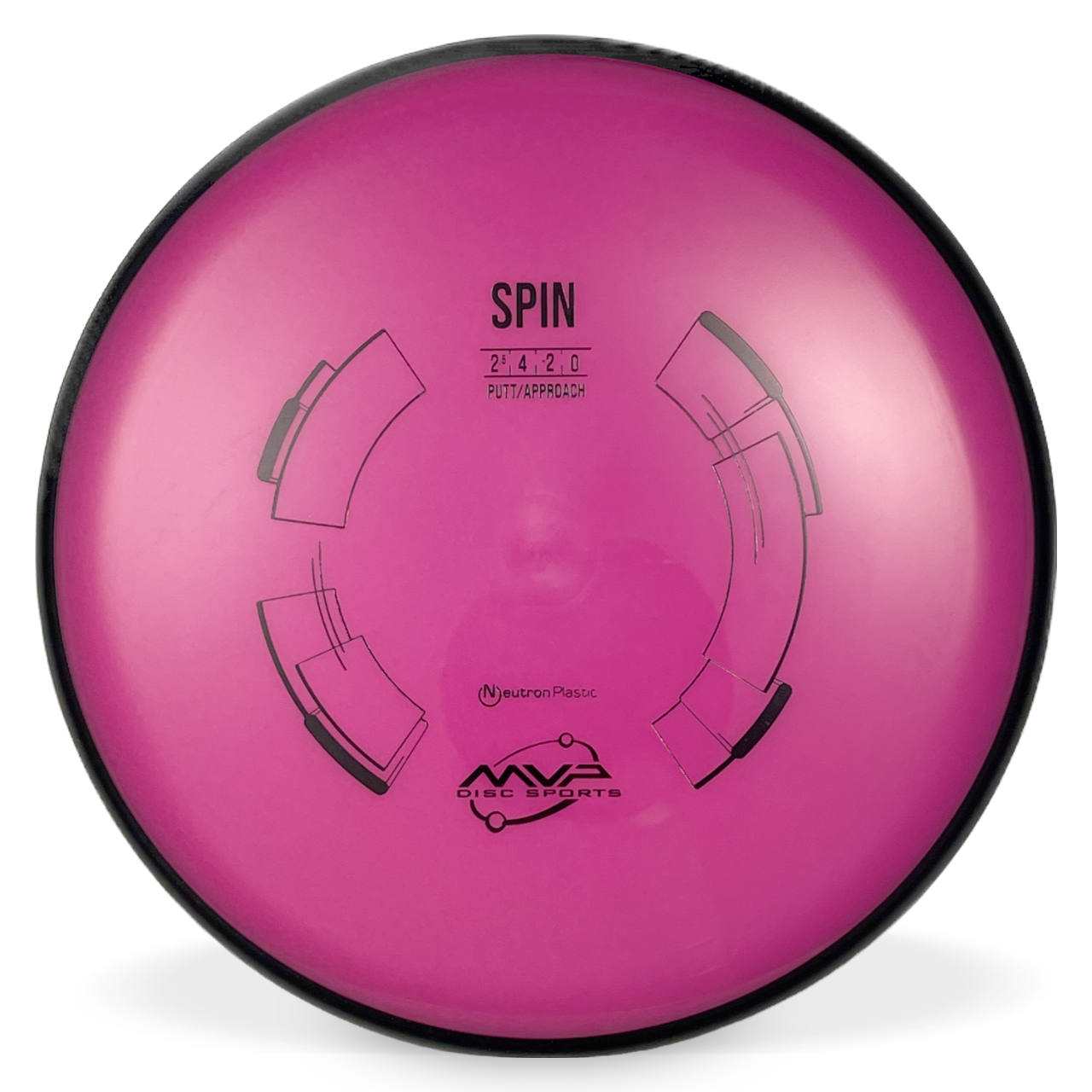 Neutron Spin