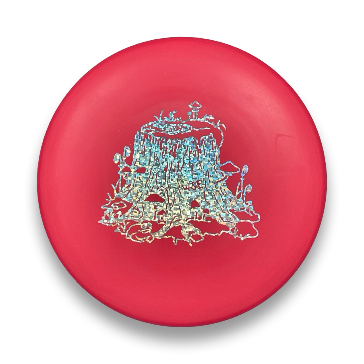 300 PA-5 - Women's Global Event